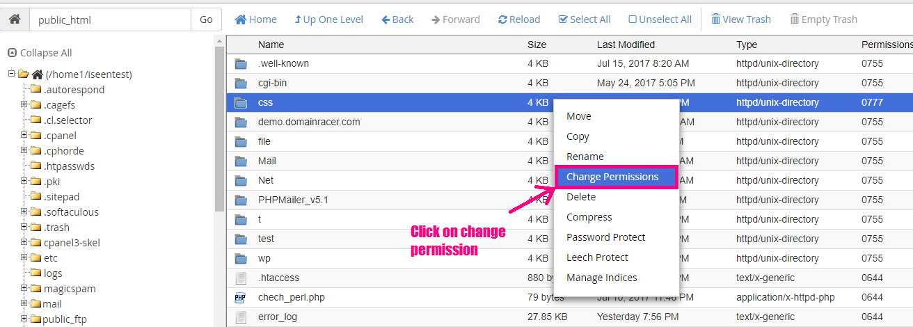 cpanel change file permission recursively