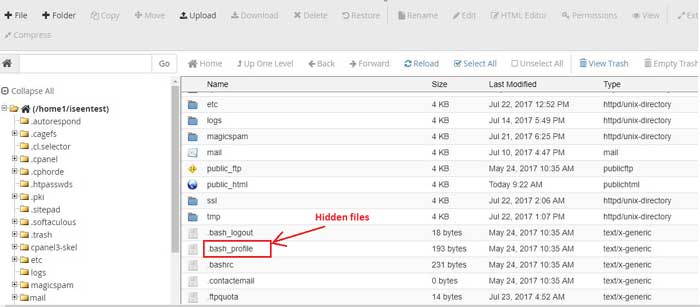How to access hidden files cpanel